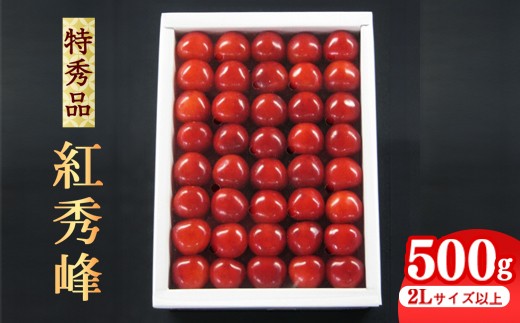 《先行予約》 令和8年産 【厳選】 さくらんぼ 「 紅秀峰 」 500g 特秀品 2L以上 化粧詰 山形県産 2026年産 【2026年6月中旬頃〜7月上旬頃発送予定】 ※配送不可 沖縄・離島 041-A-JA026