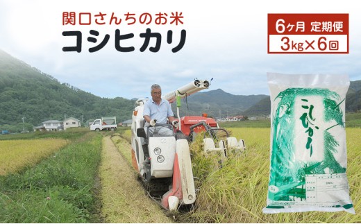 米 定期便 6ヶ月 関口さんちのお米 コシヒカリ 3kg お米 こめ コメ 精米 白米 ご飯 こしひかり 長野 信州 6回 半年 お楽しみ [№5312-0928]