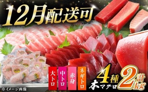 【12月配送可能】対馬産 本マグロ 4種 計2kg（赤身/中トロ/大トロ/ネギトロ）《対馬市》【対海】 冷凍配送 大容量 新鮮 贈答 贈り物 海鮮丼 手巻き寿司 [WAH027]