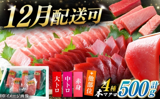 【12月配送可能】対馬産 生 本マグロ 500g （赤身、中トロ、大トロ）《対馬市》【対海】 中トロ 大トロ まぐろ マグロ 鮪 生まぐろ 冷蔵 海鮮 鮮魚 新鮮 [WAH025]