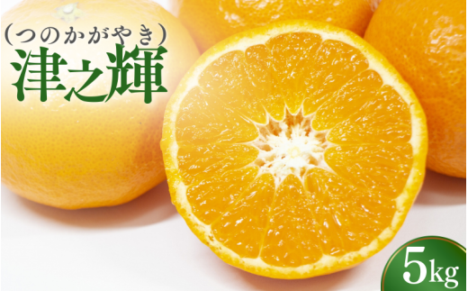 ＼先行予約／ 津の輝（つのかがやき）5kg（2026年2月以降順次発送予定） / みかん 津の輝 柑橘 かんきつ フルーツ 果物 紀州産 和歌山県 田辺市【tcs026】