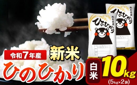 新米 令和7年産 ひのひかり 白米 10kg 《9月下旬-11月上旬頃出荷》 5kg×2袋 熊本県産（荒尾市産含む） 米 精米 ひの