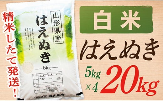 【令和7年産】【白米】山形県産はえぬき20kg