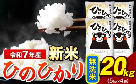 新米 令和7年産 ひのひかり 無洗米 20kg 《9月下旬-11月上旬頃出荷》 5kg×4袋 熊本県産（荒尾市産含む） 米 精米 ひの
