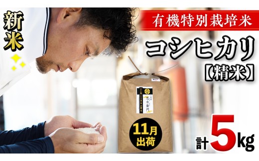 令和7年産・新米 [ 11月出荷 ] 精米 5kg 三百年 続く農家 の 有機特別栽培米 コシヒカリ 有機栽培 農創 米 こめ コメ ごはん ご飯 精米 白米 国産 茨城県産 おいしい 新生活 プレゼント 新生活応援 必要なもの 便利 おすすめ 消耗品 一人暮らし 二人暮らし 必要