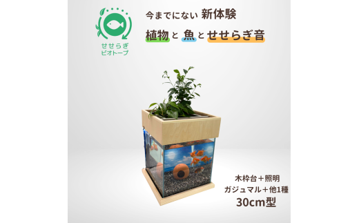せせらぎビオトープ　30cm型照明+木枠台セット（ガジュマル＋他1種）