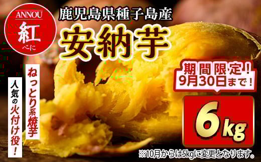 【期間限定】種子島産安納芋紅6kg 2277588 - 鹿児島県中種子町