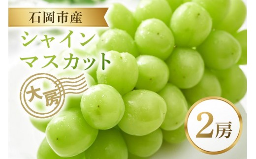【2025年 先行予約】シャインマスカット大房 2房 大粒 皮ごと食べられる 葡萄 ぶどう 果物 グレープ 贈答用 家庭用 フルーツギフト スイーツ用 お取り寄せ 予約限定 産地直送 冷蔵 茨城県 石岡市（A38-001）