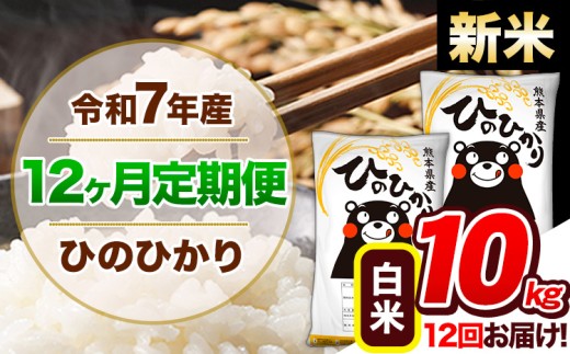 【12ヶ月定期便】新米 令和7年産 定期便 ひのひかり 10kg 《申込み翌月から発送》令和7年産 熊本県産 ふるさと納税 白米 精米 ひの 米 こめ ふるさとのうぜい ヒノヒカリ コメ 熊本米 ひのもり