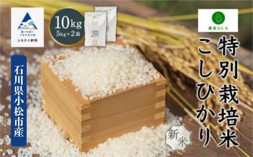 コシヒカリ 10kg 特別栽培米 令和7年産 こしひかり 精米 (5kg ×2袋) コメ お米 石川県 小松市【農家ふじた】 2277780 - 石川県小松市