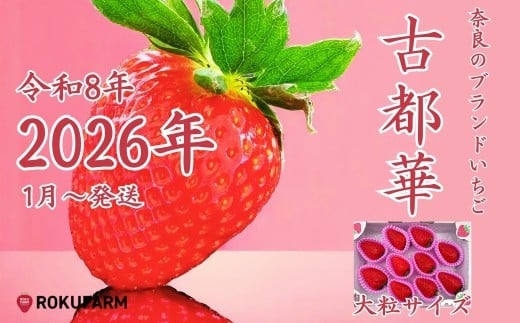 〇2026年予約販売開始〇【2026年（令和8年）1月～発送】 
「6FARMの 古都華いちご大粒サイズ」 限定出荷 〈6FARM〉 いちご 苺 奈良ブランド苺 イチゴ ブランド 古都華 大粒 奈良県 奈良市 なら 20-050-01