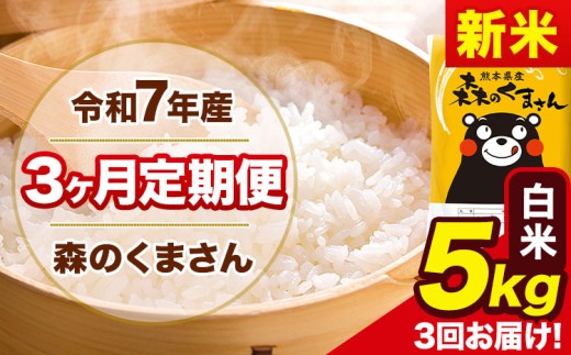 新米 令和7年産 森のくまさん 【3ヶ月定期便】 白米 《お申し込み月の翌月から出荷開始》 5kg (5kg×1袋) 計3回お届け 熊本県産 単一原料米 森くま 熊本県 玉東町