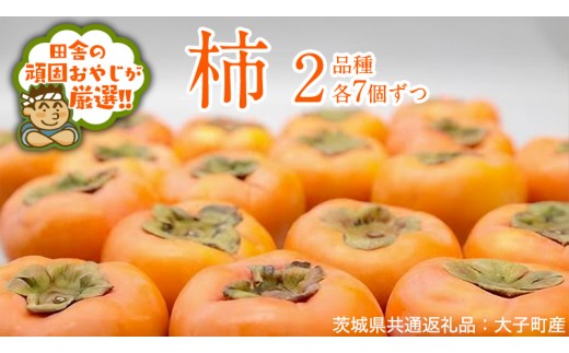 柿　2品種 食べ比べ 各7個ずつ【10月中旬より発送開始】（茨城県共通返礼品 [柿]：大子町産） 果物 フルーツ 茨城県産
