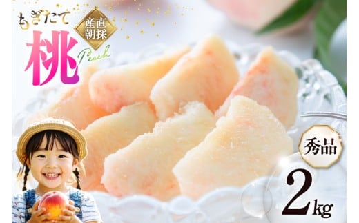 【2026年発送】桃 山梨 秀品 朝どれ 大玉 約 2.0kg 4～6玉 朝獲れ もぎたて もも モモ フルーツ 果物 山梨県産 産地直送 期間限定 季節限定 冷蔵 農家直送 白鳳 夢みずき 浅間白桃 なつっこ 紅くにか 川中島白桃 [韮崎市桃農家の産直 山梨県 韮崎市 20745235] 269410 - 山梨県韮崎市