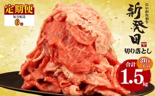 【定期便】 切り落とし 250g×6回 計1.5kg 新発田牛 黒毛和牛 霜降り 和牛 ブランド牛 国産 しゃぶしゃぶ 小間切れ 小分け 贈答 お歳暮 新潟 新発田 新潟県 新発田市 近江牛 神戸牛 松阪牛 米沢牛 三大和牛 に負けない アルビレックス アルビレックス新潟 えのもとミート enomoto024
