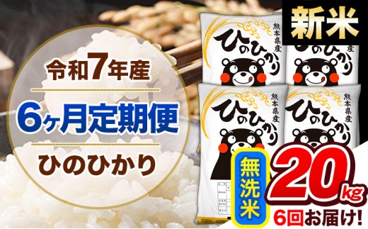 【6ヶ月定期便】新米 令和7年産 定期便 無洗米 ひのひかり20kg 《申込み翌月から発送》令和7年産 熊本県産 ふるさと納税 精米 ひの 米 こめ ふるさとのうぜい ヒノヒカリ コメ 熊本米 ひのもり