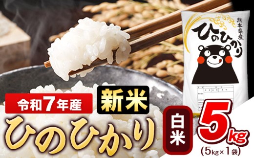 新米 令和7年産 白米 ひのひかり 5kg《9月下旬-11月上旬頃出荷》令和7年産 熊本県産 ふるさと納税 無洗米 白米 精米 ひの 米 こめ ふるさとのうぜい ヒノヒカリ コメ お米 おこめ