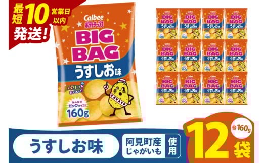 【10営業日以内に出荷】カルビー ポテトチップス うすしお味 BIGBAG（160g）×12個｜Calbee お菓子 菓子 おやつ おかし ぽてち ポテチ スナック おつまみ ジャガイモ じゃがいも（93-55）