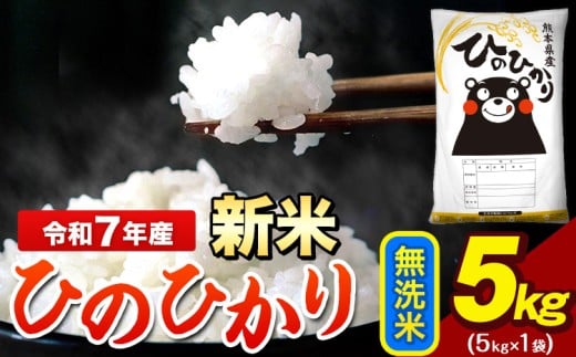 新米 令和7年産 ひのひかり 無洗米 5kg 《9月下旬-11月上旬頃出荷》 5kg×1袋 熊本県産（荒尾市産含む） 米 精米 ひの