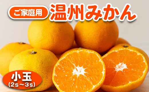 みかん 温州みかん ご家庭用 5kg 小玉 2S〜3Sサイズ|GOGO農園 和歌山県 日高川町 うんしゅうみかん みかん 柑橘 蜜柑 フルーツ 送料無料