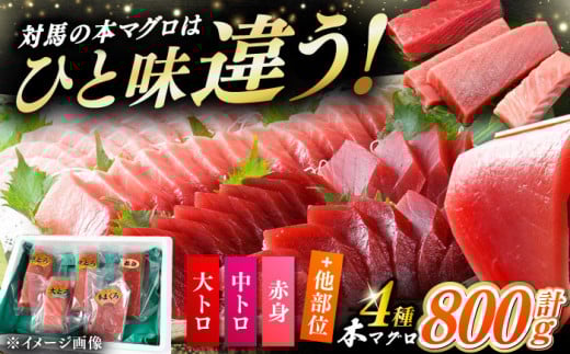 【通常配送】対馬産 生 本マグロ 800g （赤身、中トロ、大トロ）《対馬市》 【対海】 [WAH026]