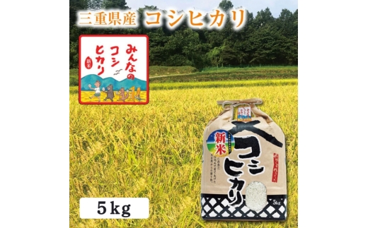 【選べる精米率】新米 令和7年産 三重県産 コシヒカリ 5kg［白米 玄米 5分つき米 7分つき米]　7分つき米