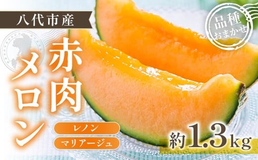 【先行予約】赤肉メロン（レノンまたはマリアージュメロン）約1.3kg 果物 くだもの 旬 ご褒美 季節の果物 赤肉 メロン 八代市産 【2026年6月中旬より順次発送】