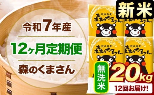 【12ヶ月定期便】新米 令和7年産 無洗米  森のくまさん 20kg 5kg×4袋  《お申込み月の翌月から出荷開始》 熊本県産 無洗米 精米 米 こめ コメ お米 kome