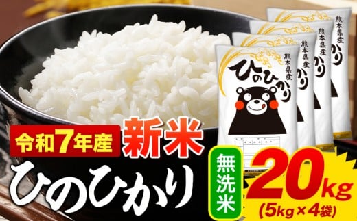 新米 無洗米 ひのひかり 20kg 令和7年産 熊本県産 ふるさと納税 無洗米  精米 ひの 米 こめ ふるさとのうぜい ヒノヒカリ コメ お米 おこめ 《9月下旬-11月上旬頃出荷》