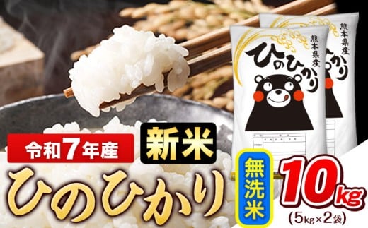 新米 令和7年産 無洗米 ひのひかり 10kg《9月下旬-11月上旬頃出荷》令和7年産 熊本県産 ふるさと納税 無洗米 白米 精米 ひの 米 こめ ふるさとのうぜい ヒノヒカリ コメ お米 おこめ