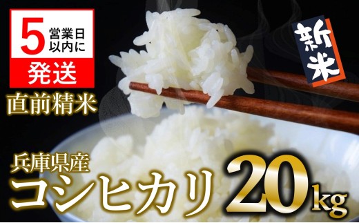 【スピード発送】【新米】コシヒカリ 20kg 白米 令和７年産 (60-17) 米 お米 20kg 米20kg 兵庫県産 こしひかり コシヒカリ 西脇市産 令和7年産 R7年産 2025年産 精米