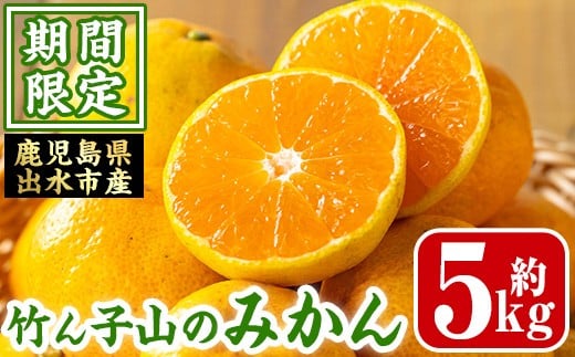 i1178 ≪数量・期間限定≫いずみ産 竹ん子山の早生みかん(約5kg) 鹿児島 国産 九州産 みかん ミカン 蜜柑 柑橘 くだもの フルーツ 果実 早生 【イーサイドライン】