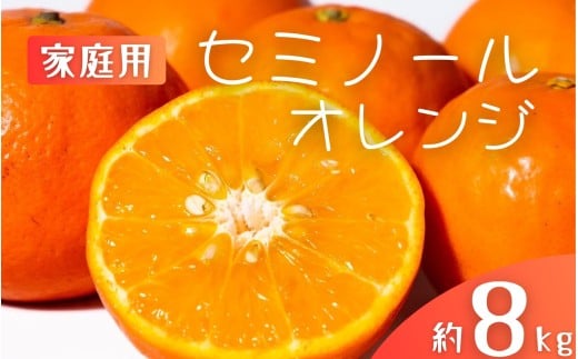 【先行予約】【ご家庭用】手選別 セミノールオレンジ 約8kg 和歌山県産 2S~2Lサイズ混合※2026年4月中旬～5月中旬頃に順次発送【mrmt050】 