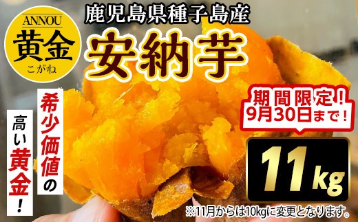 【期間限定】種子島産安納黄金いも11kg Sサイズ 2277595 - 鹿児島県中種子町