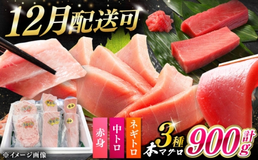 【12月配送可能】対馬産 本マグロ 3種 計900g（赤身/中トロ/ネギトロ）《対馬市》【対海】 冷凍配送 食べ比べ 贈り物 魚介類 [WAH029]