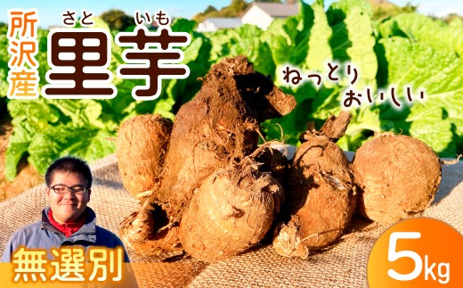 里芋 サイズ無選別 5kg | さといも サトイモ 芋 いも イモ 根菜 野菜 芋煮 煮物 煮込み 料理 鍋 和食 新鮮 掘りたて ねっとり 国産 産地直送 季節限定 三富 こうやま農園 埼玉県 所沢市