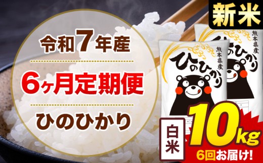 【6ヶ月定期便】新米 令和7年産 白米 10kg 米 ひのひかり《お申込み月の翌月から出荷開始》熊本県 菊池市 国産 熊本県産 白米 精米 無洗米 送料無料 ヒノヒカリ こめ お米 