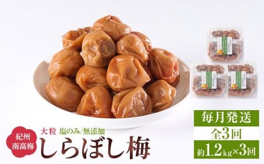 梅干し しらぼし梅 約1.2kg（約400g×3）塩のみ 無添加 大粒 紀州南高梅 塩分約15％ 和歌山県産 [ 定期便 毎月発送・全3回 ]