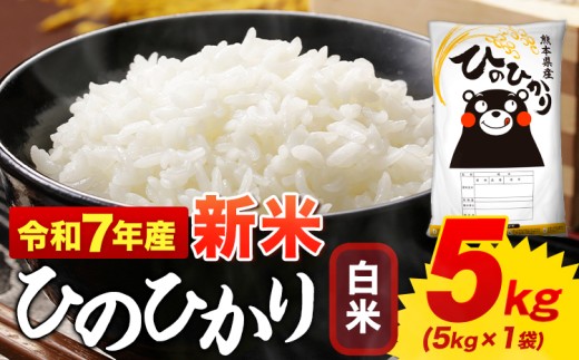 新米 白米 ひのひかり 5kg 令和7年産  熊本県産 ふるさと納税  白米 精米 ひの 米 こめ ふるさとのうぜい ヒノヒカリ コメ お米 おこめ  《9月下旬-11月上旬頃出荷》