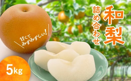 和梨 詰め合わせ 5kg 旬 甘い くだもの 果物 フルーツ なし ナシ グルメ 人気 おすすめ ランキング 故郷 ふるさと 納税 秋田 秋田県 潟上 潟上市 【ファーム・イン果夢園】 【舘岡果樹園】