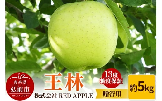 【25年12月発送】りんご 13度糖度保証【贈答用】王林 約5kg【レビューキャンペーン】