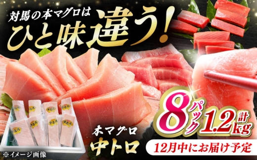 【12月中にお届け】対馬産 養殖 本マグロ 中トロ 1.2kg(8パック)《対馬市》【対海】[WAH020-12]