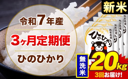 【3ヶ月定期便】新米 令和4年産 無洗米 20kg 米 ひのひかり《お申込み月の翌月から出荷開始》熊本県 菊池市 国産 熊本県産 白米 精米 無洗米 送料無料 ヒノヒカリ こめ お米 