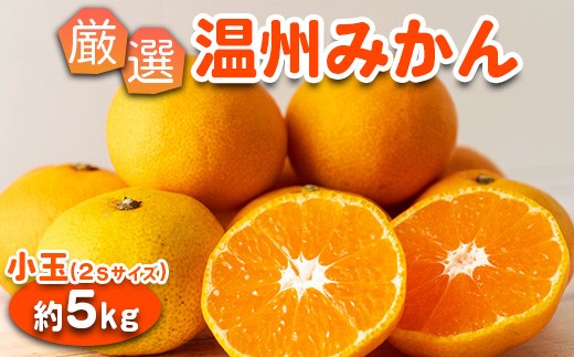 みかん 温州みかん 厳選 5kg 小玉 2Sサイズ 小玉みかん｜GOGO農園 和歌山県 日高川町 みかん 小玉 柑橘類 うんしゅうみかん みかん 柑橘 蜜柑 フルーツ 送料無料
