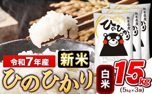 新米 令和7年産 白米 ひのひかり 15kg《9月下旬-11月上旬頃出荷》令和7年産 熊本県産 ふるさと納税 白米 精米 ひの 米 こめ ふるさとのうぜい ヒノヒカリ コメ お米 おこめ