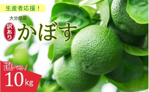 【訳あり】大分県産 露地かぼす 10kg_2612R-3
