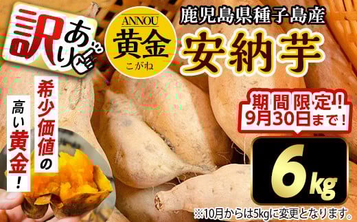 【期間限定】【訳あり】種子島産安納黄金いも6kg 2S～2L MIX 2277597 - 鹿児島県中種子町