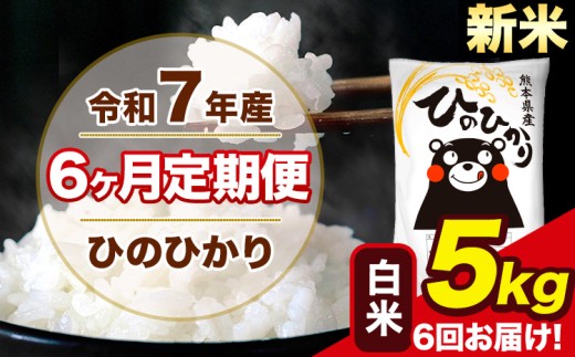 新米 令和7年産 【6ヶ月定期便】 ひのひかり 白米 5kg 5kg×1袋 計6回お届け 熊本県産 こめ コメ 白米 精米 荒尾市 ひの 米 定期 《お申込み月の翌月から出荷開始》