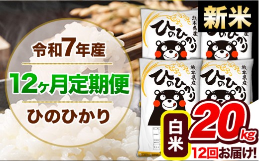 【12ヶ月定期便】新米 令和7年産 定期便 ひのひかり20kg 《申込み翌月から発送》令和7年産 熊本県産 ふるさと納税 白米 精米 ひの 米 こめ ふるさとのうぜい ヒノヒカリ コメ 熊本米