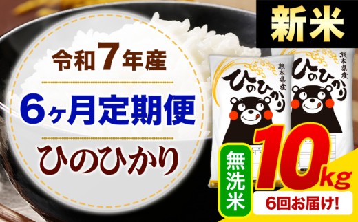 【6ヶ月定期便】新米 令和7年産 無洗米 ひのひかり 定期便 10kg《お申込み月の翌月から出荷開始》熊本県産 ふるさと納税 精米 ひの 米 こめ ふるさとのうぜい ヒノヒカリ コメ お米